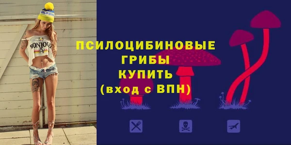 спиды Алзамай