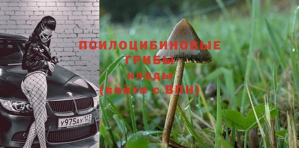 спиды Алзамай