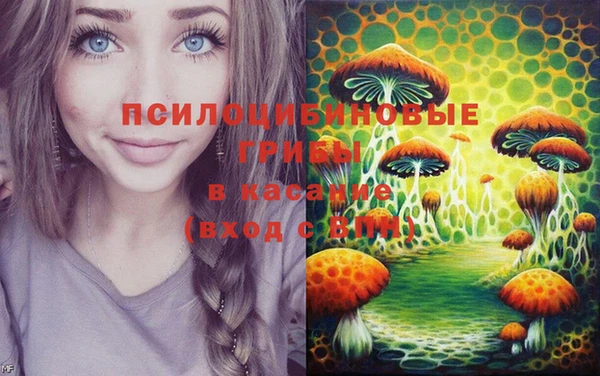 спиды Алзамай