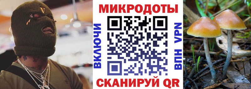 Галлюциногенные грибы GOLDEN TEACHER  Бавлы 